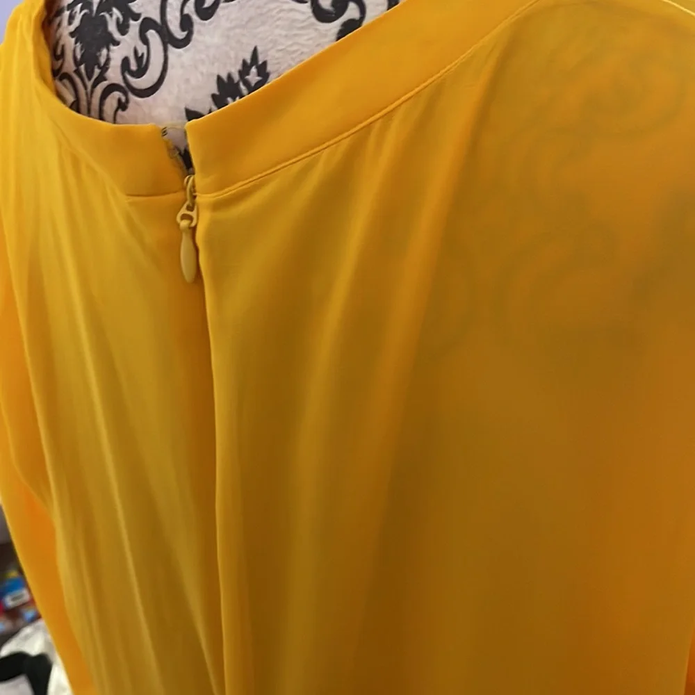 Eva Mendes for NY and Company sheer sleeve dress - Picture 6 of 7